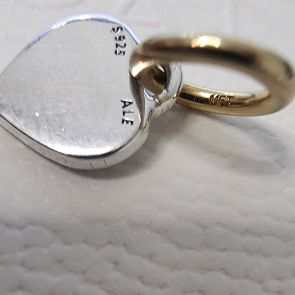 Pandora Two-tone true friend Dangle Charm - Picture 4 of 4
